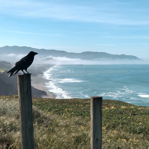 Upward Over The Mountain, Iron & Wine (Cover, D. Michael)