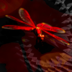 Autumn Red Dragonfly (naviarhaiku614)