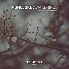 Awakenings (Original Mix)