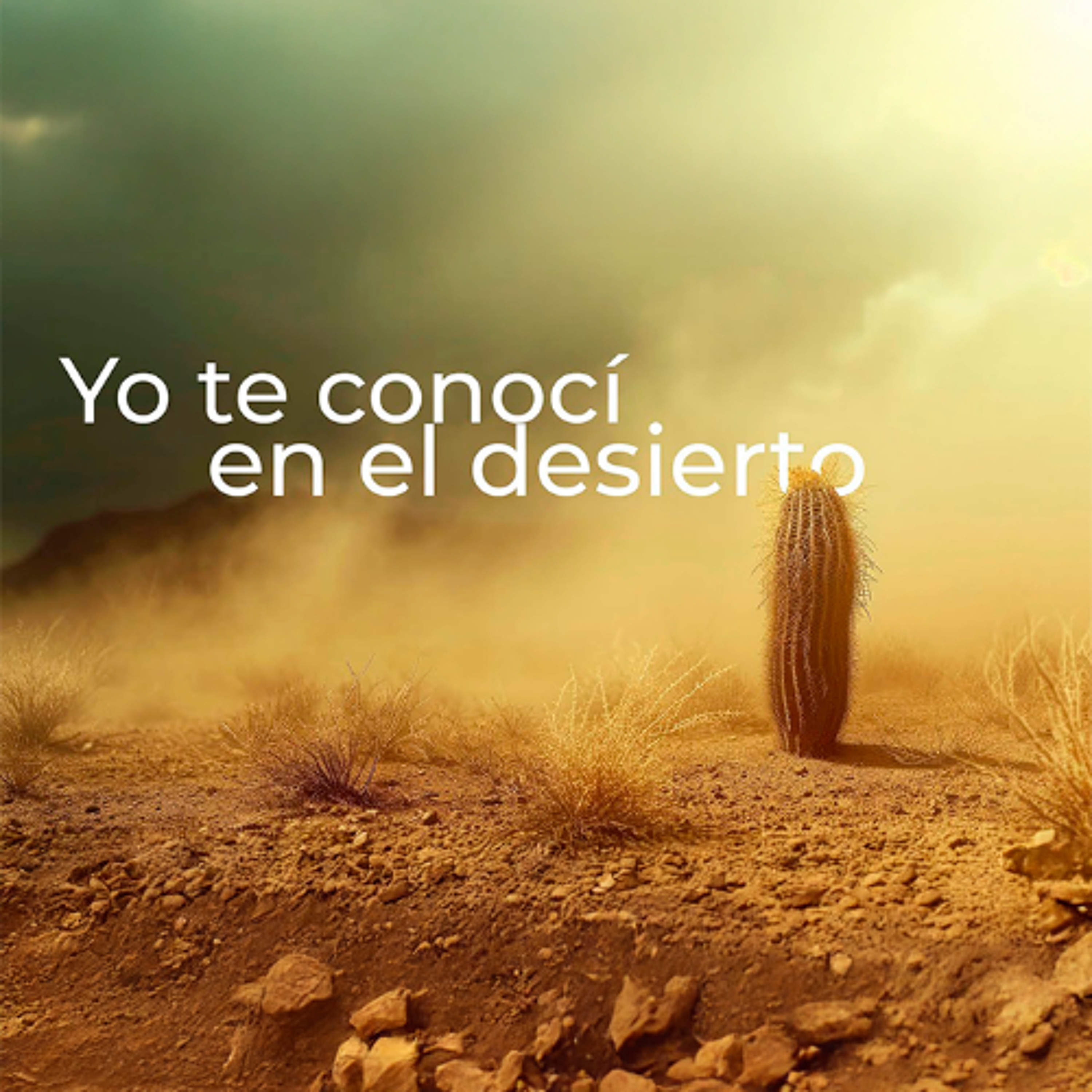 Yo te conocí en el Desierto