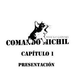 Presentación - Capítulo 1