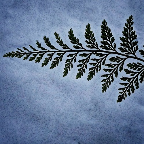 Recursion (FREE DOWNLOAD)