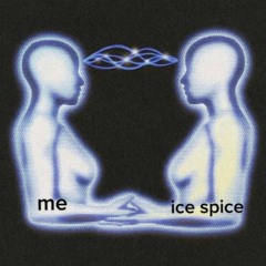 I3SPICE <3