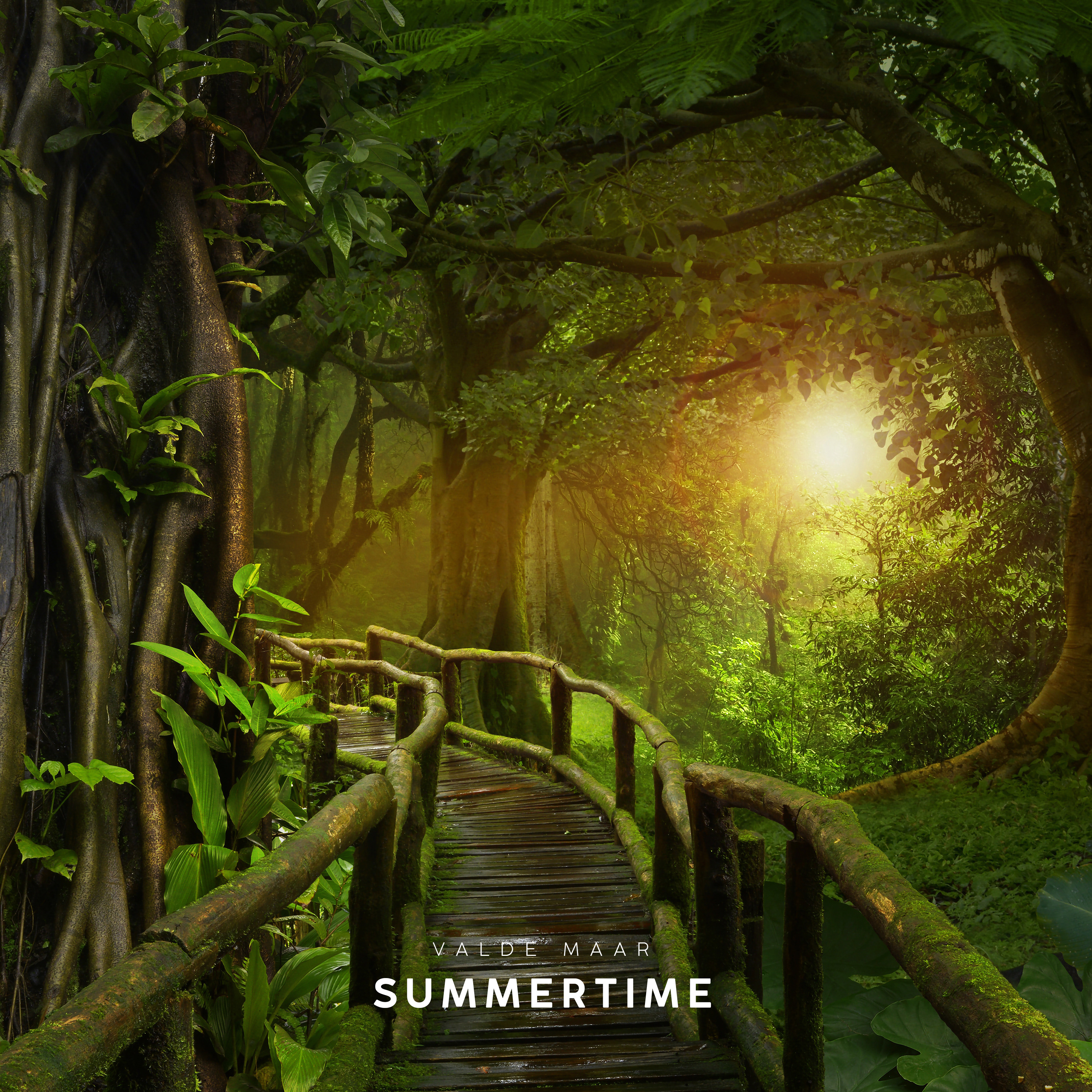 VALDE MAAR - SUMMERTIME episode artwork