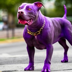 Rich Cholo - Liquid Codeine