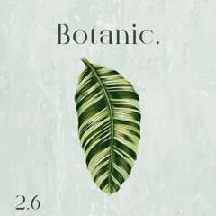 Botanic Sprout - 2.6 - Olavo