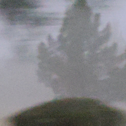 backyard beetle - blame myself (prod. immortal)