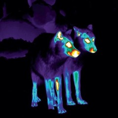 NIGHTLIGHT (PROD. SISDOM)