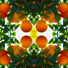 Papaya Fiya Presents “Valencia Vibes” (Live before Soohan In Hilo, Hawaii)
