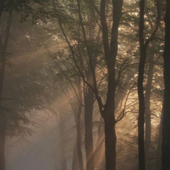 Jo Dard Sisaktay Hue