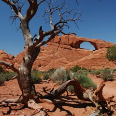 Wilson's Arch