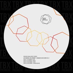 Premiere: Kyle Starkey - Danger Mouse [Seven Dials Records]