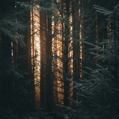 Deep Breakfast 309 ~ Launaea