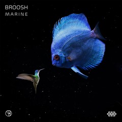Broosh - Flight