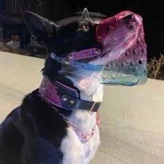 Custom Dog Muzzles