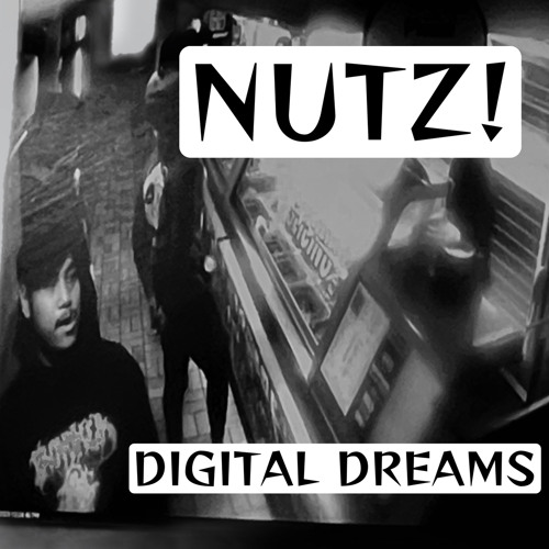 NUTZ! (prod. lilportal & maestrowons)