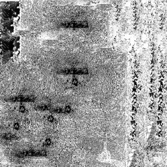 Ecstatic Topography Of Electric Cascades Pt. 1 & 2