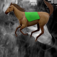 🐎🐎 *NETTAMXX