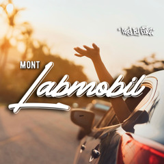 MONT - LABMOBIL (PROD. BY SURZ)