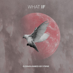 What If
