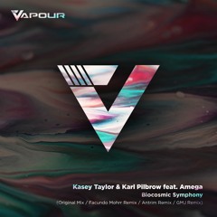 VR149 Kasey Taylor & Karl Pilbrow - Biocosmic Symphony (GMJ Cosmic Space remix)