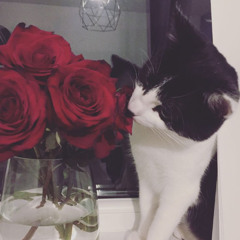 roses&pedals