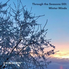 Through the Seasons 001: Winter Winds 🌨