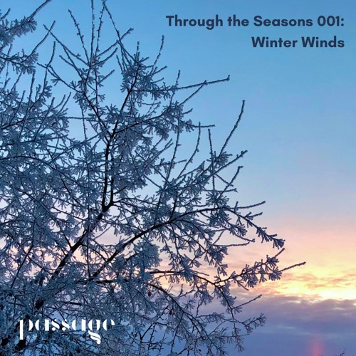 Through the Seasons 001: Winter Winds 🌨