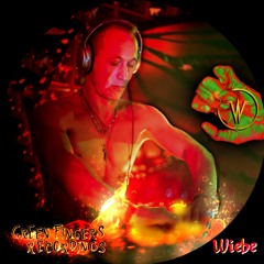 Green Fingers Presents: Wiebe Roose Live Set