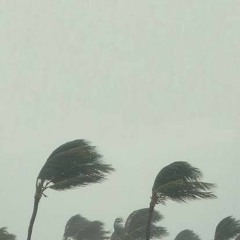 Romes - Dirty Hands