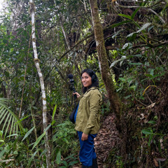 071124 / Listen Fauna / Alejandra / El Palmeral