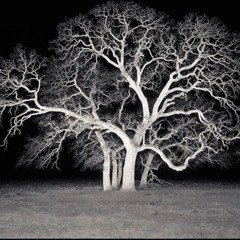 mad (prod jayrewind)