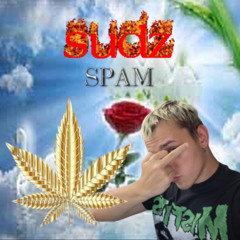 SPAM
