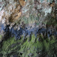 the power of moss (2021) [Keir & Celeste demo]