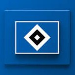 Ein Verein, eine Stadt das ist der HSV