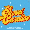 Dimitri Vegas & Like Mike x Timmy Trumpet x Brennan Heart - Sweet Caroline