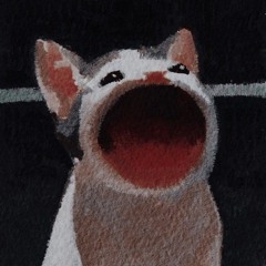 Yung BitchAssHo - //:Ţåšťė