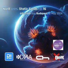 Static Fields Ep16 @PaviloN Budapest 18 May 2024
