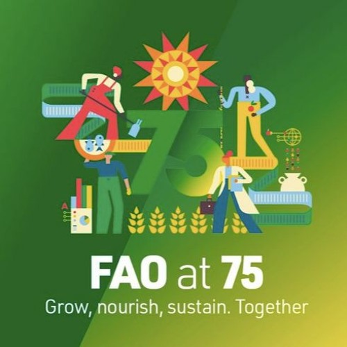 FAO at 75 – Grow, nourish, sustain. Together (audiobook edition)