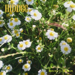 entre sonrisas y estrellas fugaces / demo1