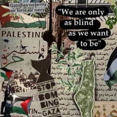 ❤️🖤💚🤍 Free Palestine