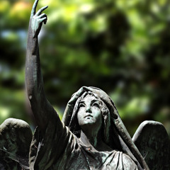 [Clartarius][Angel flight]