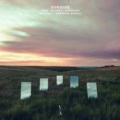 Lane 8- Survive (Sultan + Shepard Remix)