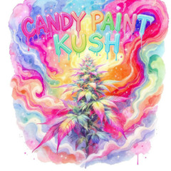 CANDY PAINT KUSH