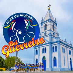 1 - BOI GUERREIRO - Nossa Santa Padroeira