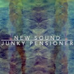 JUNKY PENSIONER - TEST ELECTRO