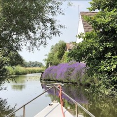 Visite du dernier marais maraîcher de France !