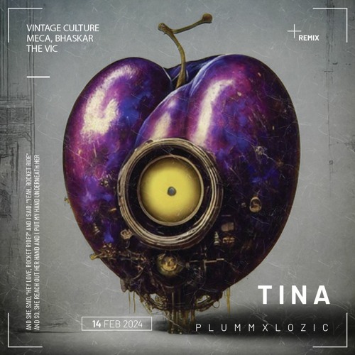 PLUMM & LOZIC - Tina (Remix)