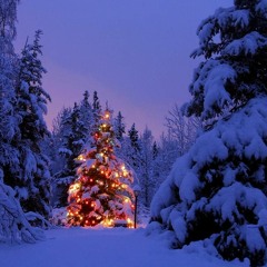 carol of the bells