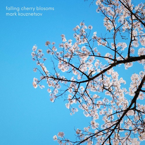 Falling Cherry Blossoms